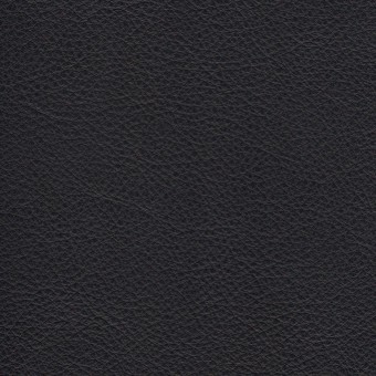 FABRIC Leather Due : Due / Blue